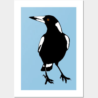 Magpie Posters and Art